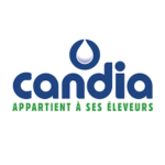 Candia